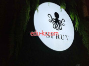 Кафе - Sprut Кафе Sprut - на портале restby.su