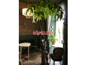 Кафе - Leone House Кафе Leone House - на портале restby.su