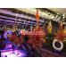 Кафе Nemo Club - на портале restby.su