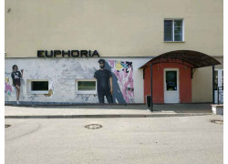 Euphoria