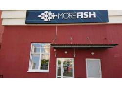 MoreFish